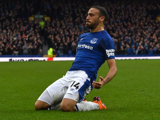 Everton enjoy home comforts by easing to victory over Brighton