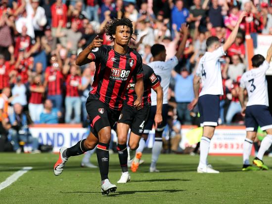 Bournemouth and Everton share points after Cherries complete comeback