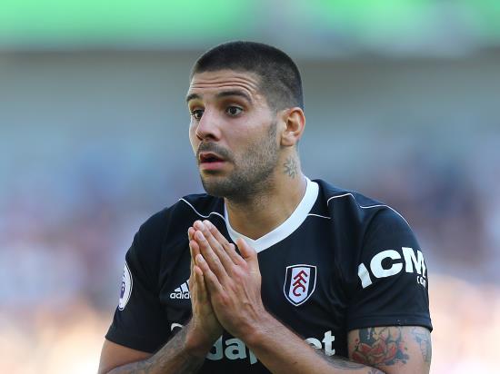 Mitrovic made an unlucky mistake, insists Fulham boss Jokanovic