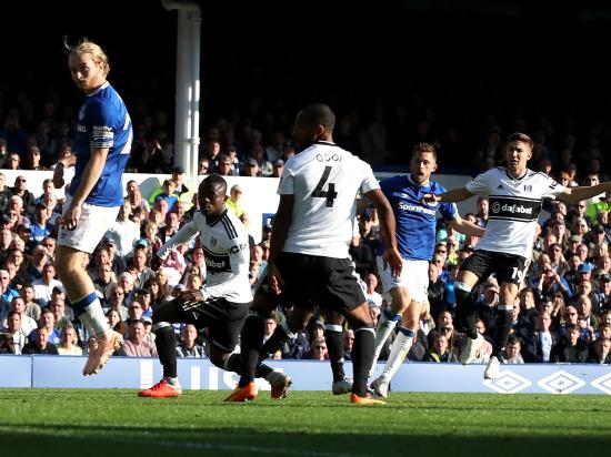Gylfi Sigurdsson brace helps Everton to comfortable victory