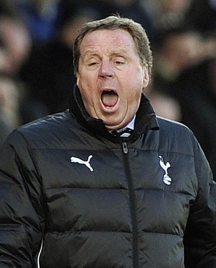 Shirty Harry - Refusal to talk cobblers cost me, says Redknapp