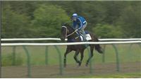 Black Caviar appears on the gallops at Newmarket