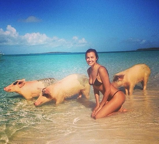 Oink, oink! Irina Shayk goes swimming with pigs