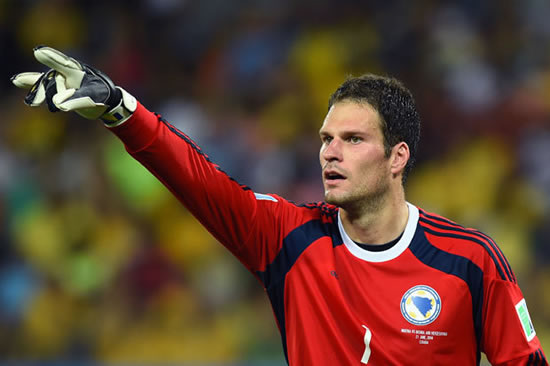 Real Madrid and Carlo Ancelotti ready to beat Arsenal to Stoke City stopper Asmir Begovic