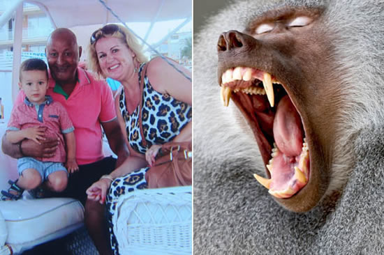 Ryan Giggs’ dad ATTACKED by baboons in safari scare