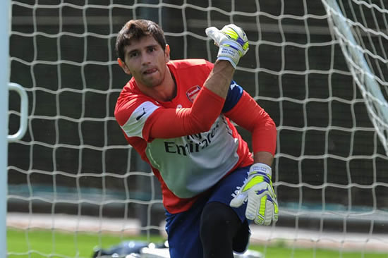 Arsenal place Champions League hopes on goalkeeper who conceded five against Reading