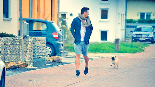Is Mesut Ozil back with Mandy Capristo? Arsenal man goes dog walking with couple’s pug