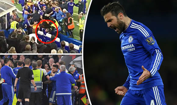 Chelsea's Cesc Fabregas accused of kicking off the Stamford Bridge brawl with Tottenham