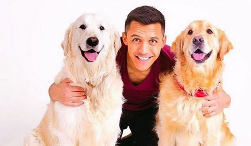 So Arsenal: Alexis Sanchez sets up Instagram Account for his Dogs