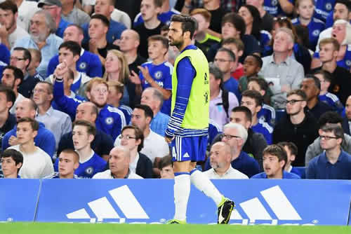 Cesc Fabregas reacts to reports he could leave Chelsea