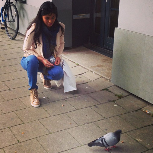 Man City fall victim to a Pigeon invasion