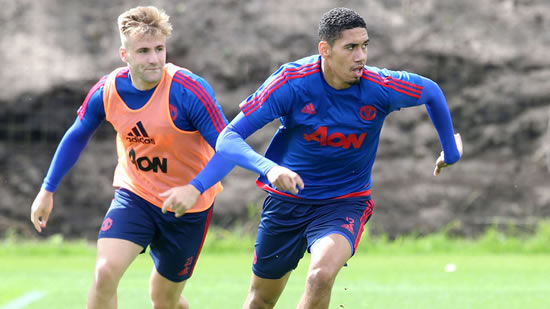Gareth Southgate doesn't doubt Luke Shaw or Chris Smalling's character