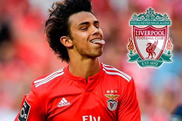Liverpool's £60m Joao Felix bid rejected by Benfica as Jurgen Klopp chases teen