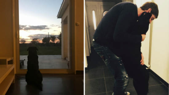 Emiliano Sala's Sister Posts Picture Of His Dog Waiting For Him To Return Home