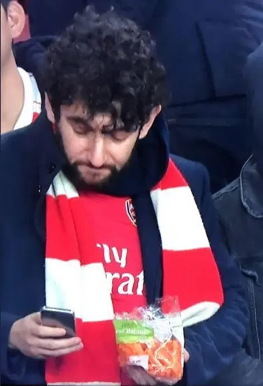 Spurs fan spotted sewing during clash with Crystal Palace sends Twitter into meltdown
