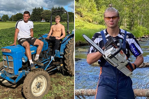 Erling Haaland spends summer holiday POTATO farming and cutting down trees as Dortmund ace spends time with dad Alf-Inge