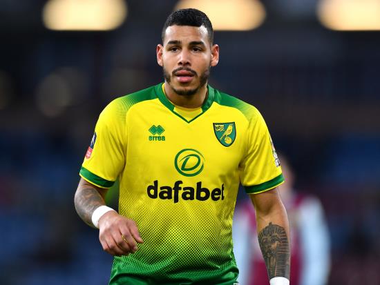Norwich City vs Leicester City - Onel Hernandez injury blow for Norwich
