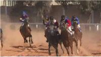 Tripoli stages first horse race since fall of Gaddafi regime