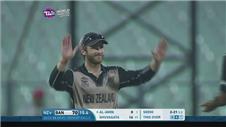 New Zealand stamp dominance on T20