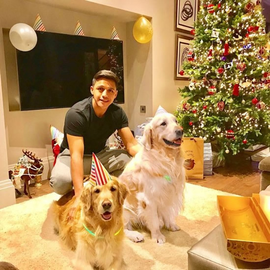 DEVIL MAY CARE I’m an ex-Man Utd star with £116m in career earnings and fans made banners for my dogs – now I’m unemployed at 34