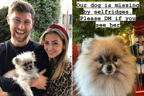 Devastated Tottenham ace Ben Davies in desperate plea to find missing dog 'carried away by two girls' outside restaurant