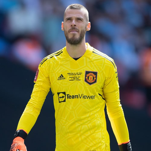 DAVID'S DILEMMA De Gea ‘received transfer offers from bottom-half Premier League clubs and considered retirement’ since Man Utd exit