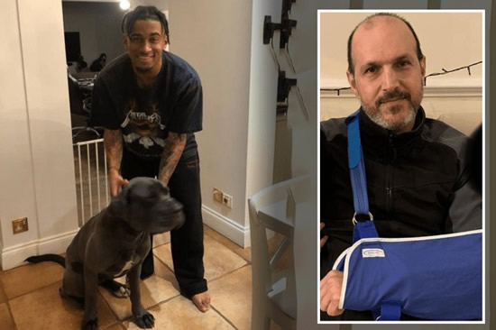ARSENAL star Reiss Nelson is being sued by his sports masseur who claims the player’s Italian mastiff attacked him as they posed for a selfie.
